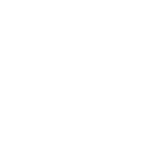 wordpress-logo-white